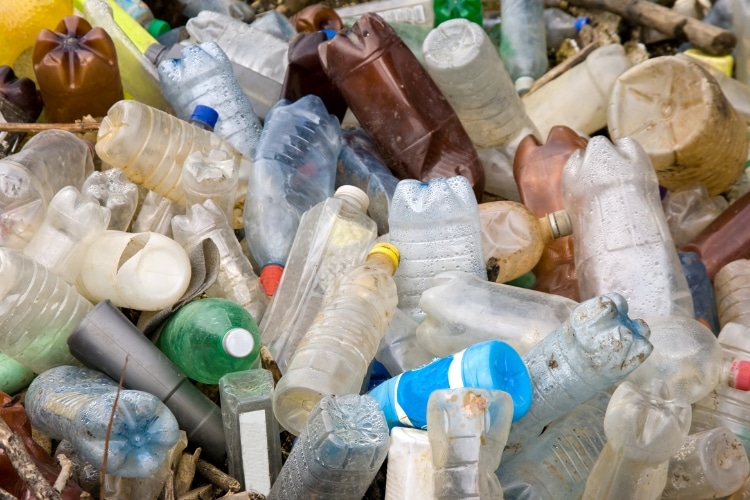garrafas pet 5 formas de reciclar e preservar o meio ambiente